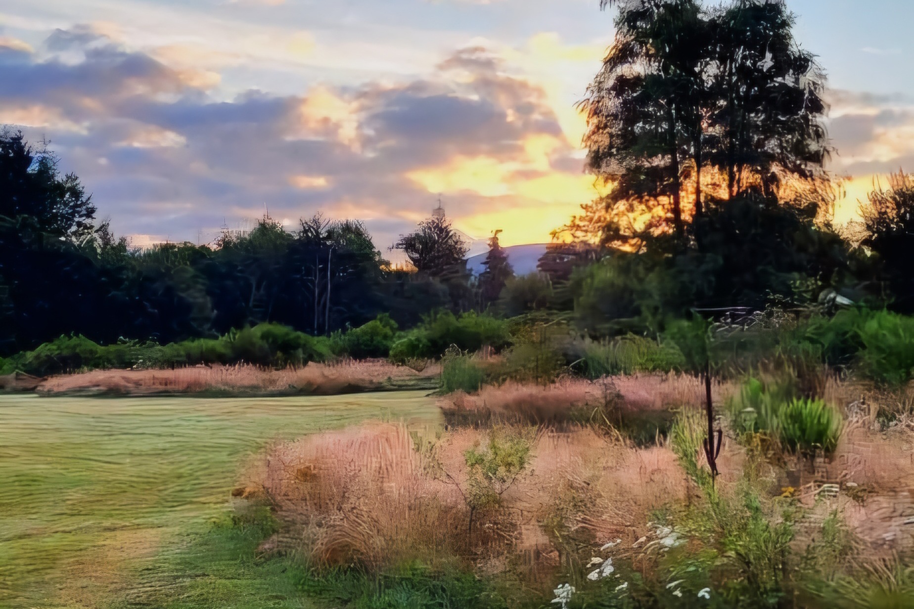 Le Ranch Camping et Glamping - Tipi de Lotus Nordique