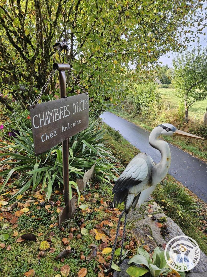 Les Chambres d'Antonine_1