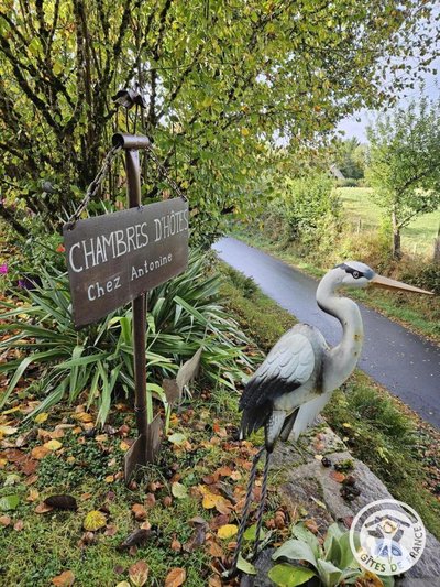 Les Chambres d'Antonine_1