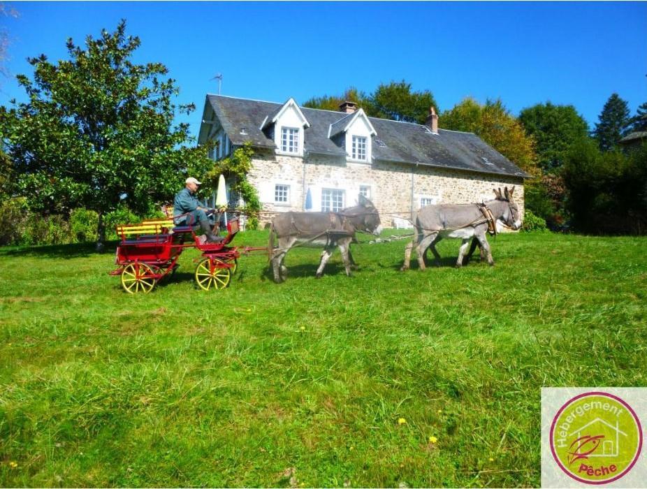 Le Gîte des Ânes- Ludogîte_1