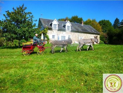 Le Gîte des Ânes- Ludogîte_1