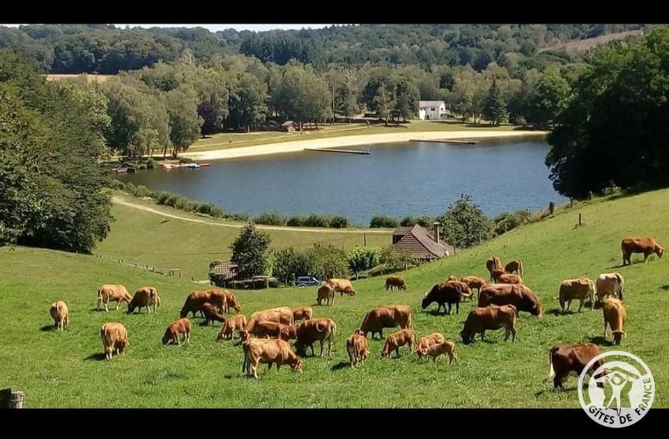 Le Gîte du Hameau_1