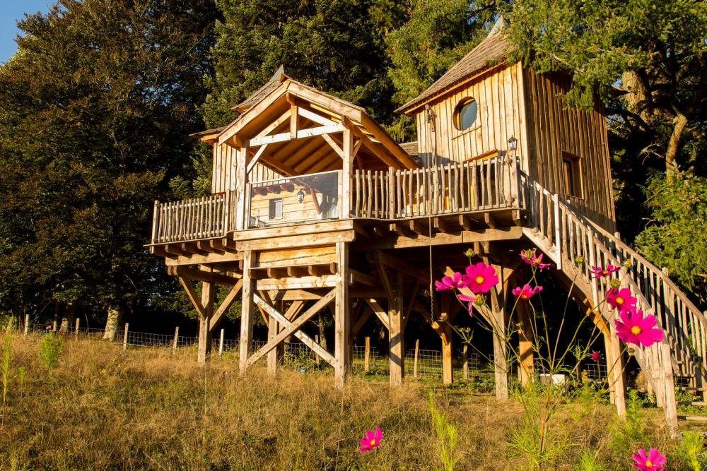 Cabane dans le arbres_1