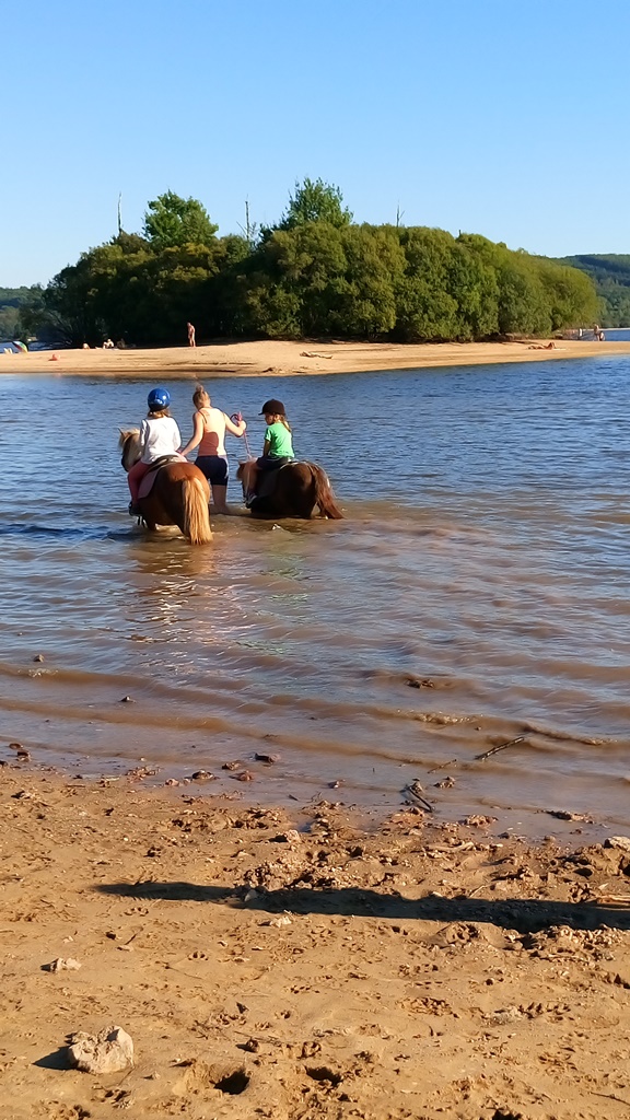 Meublé de tourisme Vassivière à Cheval_3