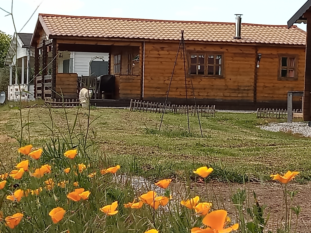 camping-la-perle-creuse-chalet Florida-6personnes-extérieur3