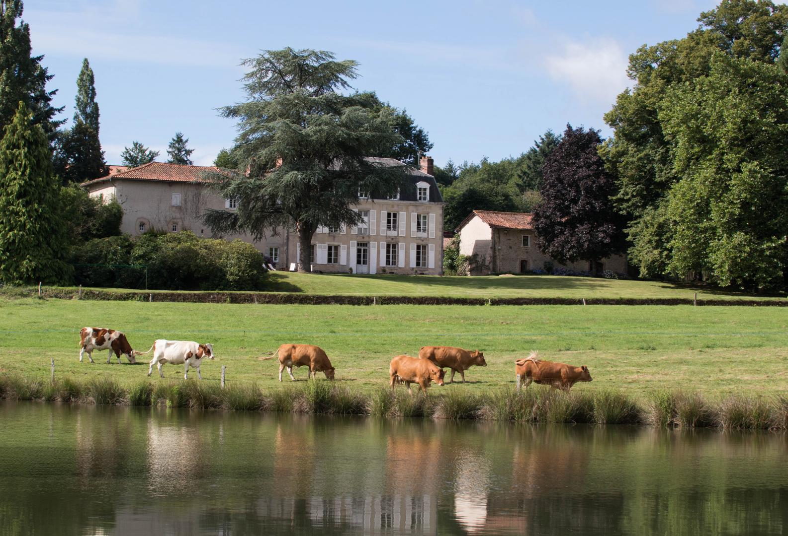 Le Masbareau, Chambres et Table d'Hôtes de Charme 87400 St Léonard-de-Noblat, Haute-Vienne, Nouvelle-Aquitaine, Limousin_1