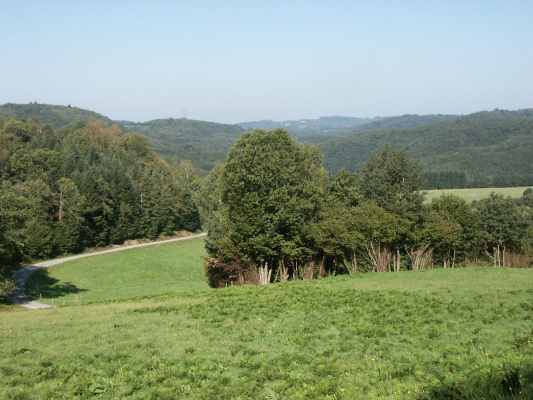 Gite "Samis" à Saint Julien Le Petit en Haute-Vienne (Limousin en Nouvelle Aquitaine)_2