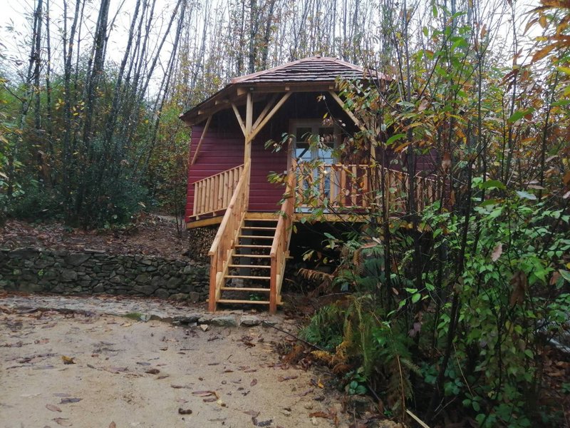 Cabane sur Pilotis les Bois de Saint Auvent_1