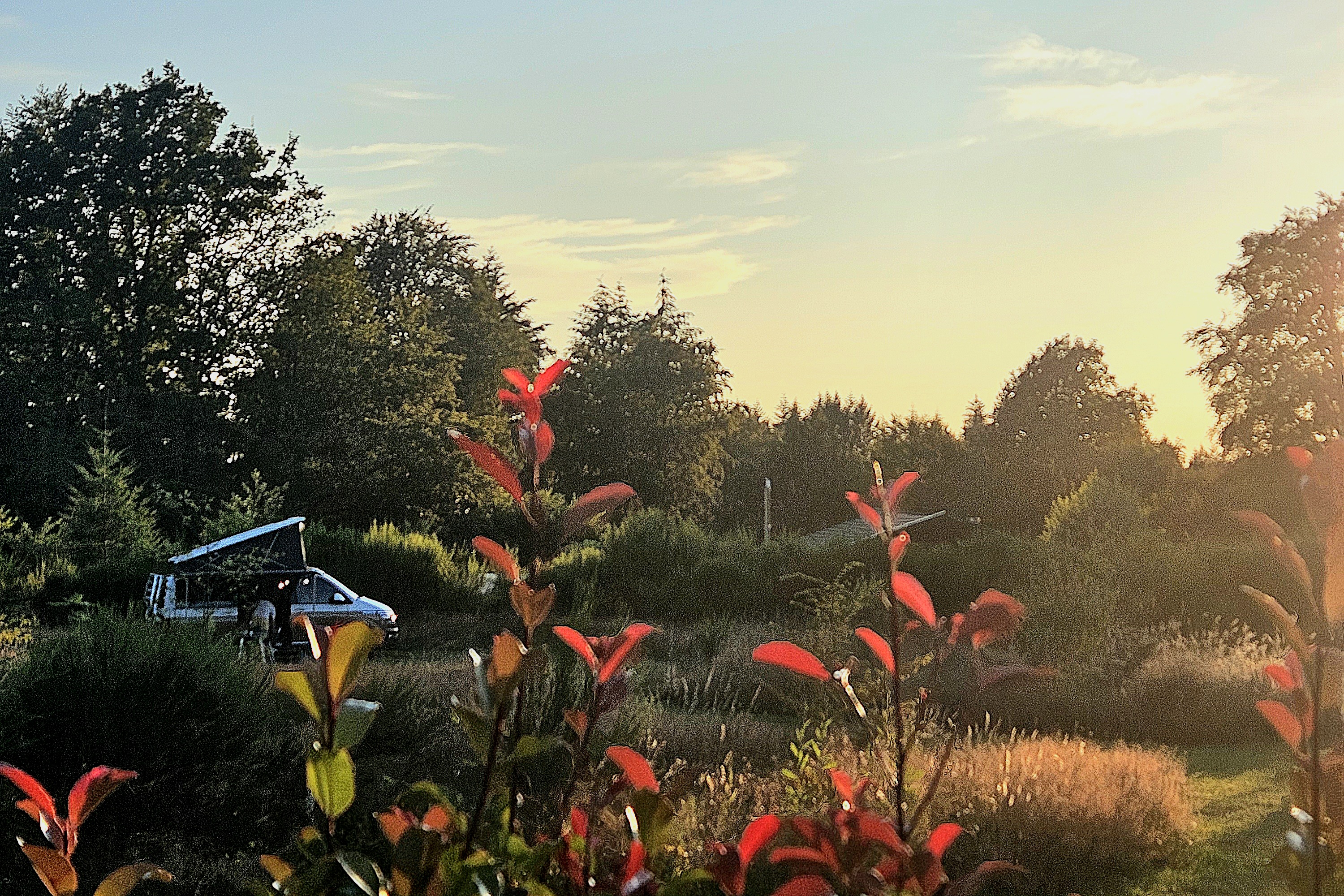 Le Ranch Camping et Glamping - Pitch