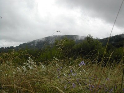 Aire naturelle de Saint-Julien le Petit