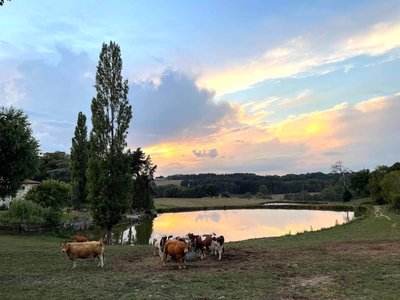 Vue fenêtre du Gîte "Le Masbareau" Royères Haute-Vienne Nouvelle Aquitaine_2