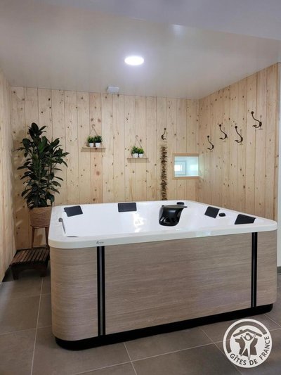 Gîte des Sources (spa intérieur)_2