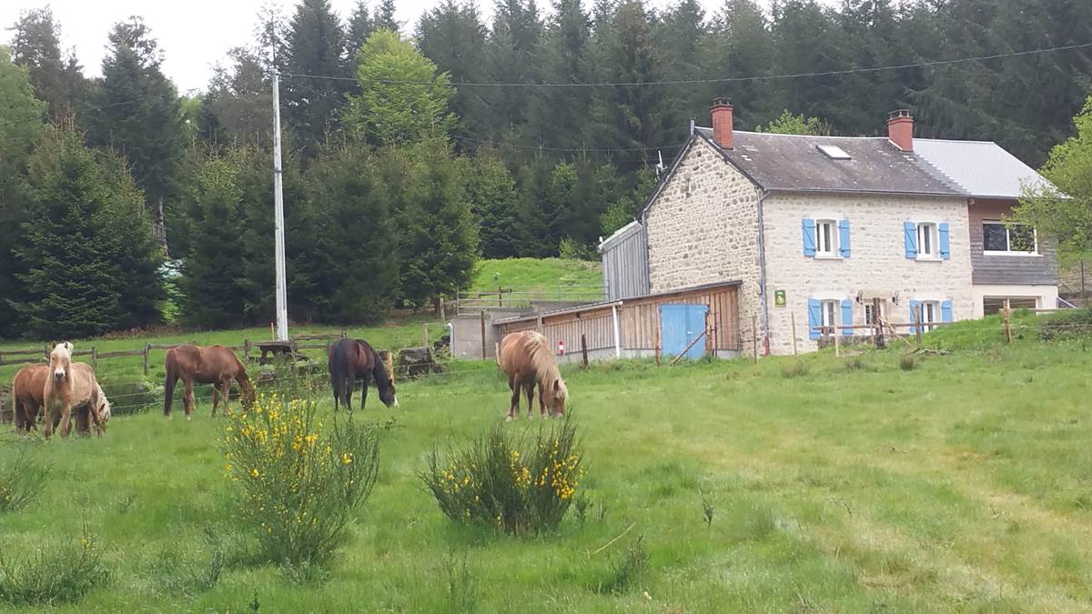 Puy des Bruges - Royère de Vassivière