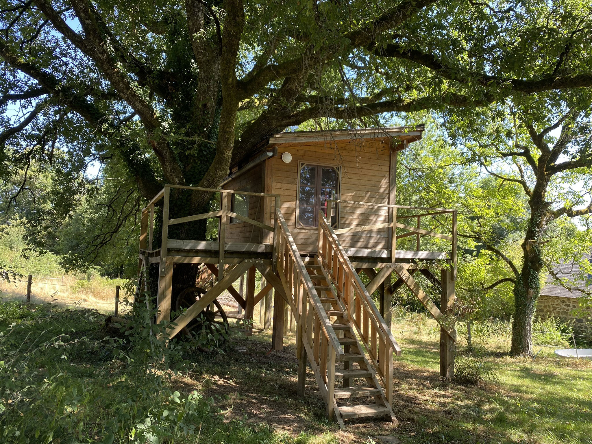 Cabane_sous_chêne_1
