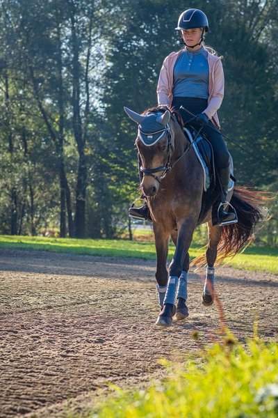 equitation