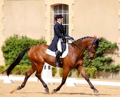 Concours de dressage d'été_1