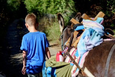 Balade Anes © Benoit Charles (26)