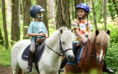 image poney