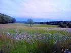 Balade 1er mai