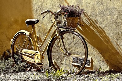 danfador-bike-190483_1920
