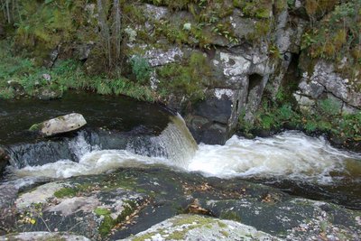 Le "Saut du Loup"