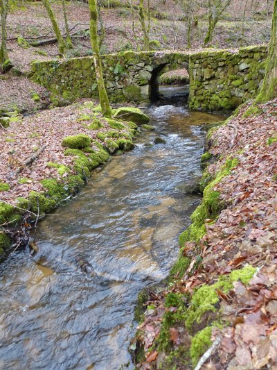 L'ancien pont