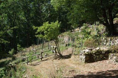 Le jardin de Bardot