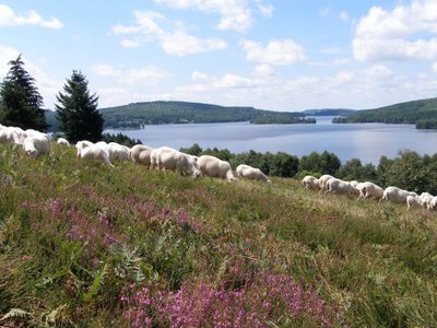 Point de Vue sur la lande et le lac