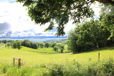 Point de vue sur le Plateau de Millevaches