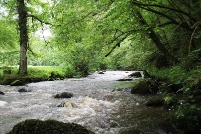 Gorges de la Rozeille