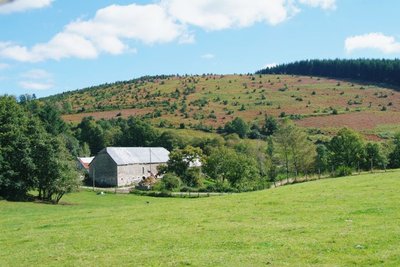 La lande Viossanges