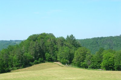 Vue sur la motte féodale de Lestrange