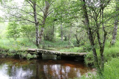 Le petit pont de pierres plates