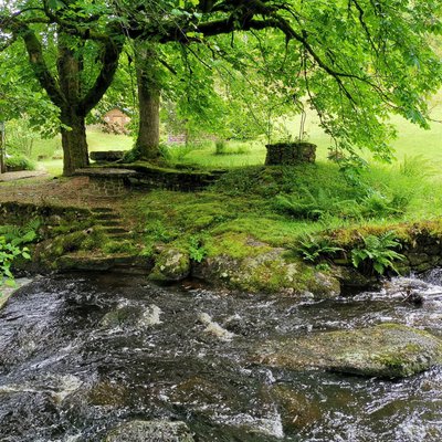 Forêt le long de la Rigole du Diable