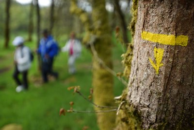 Site des tourbières et landes de la Mazure