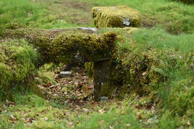 Pont planche en granite