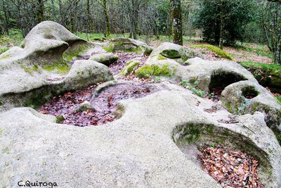 Les rochers à cupules