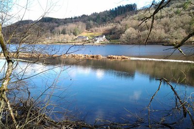 Le champs de l'eau (frayère à brochet)