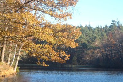 Etang de Condeau