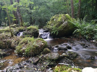 Gorges du Verger