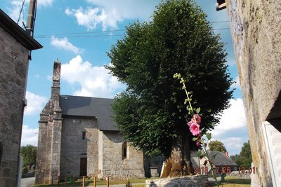 L'Eglise et son chêne de Sully