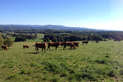 Panorama sur les Monédières