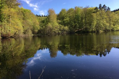 l'Etang de Mouno