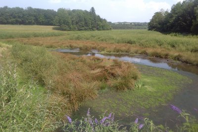 étang de St-Hilaire en période de vidange