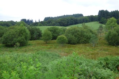 Tourbière de la Longérade