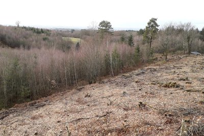 Vue sur la vallée de la Madrange