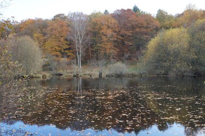 Les bords de la Vienne