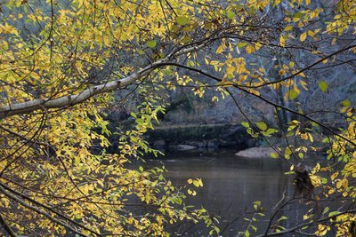 Vestiges du moulin de Lathière