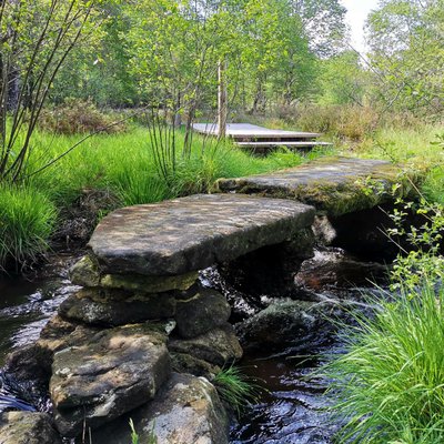 Pont planche