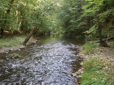 Gorge de la Luzège